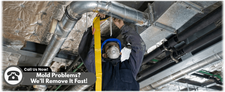 Air Duct Mold Removal in Queen Creek AZ