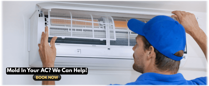 HVAC Mold Removal Queen Creek AZ